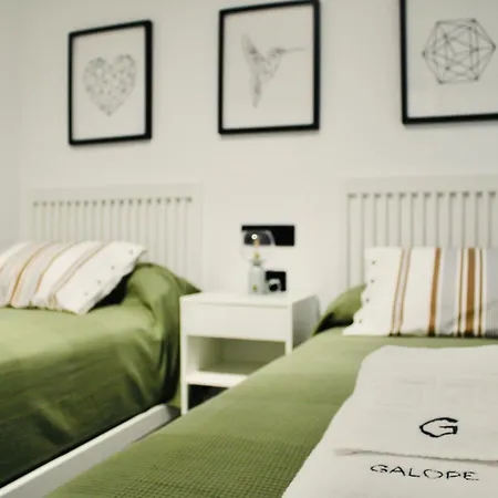 Daire Galope Premium Cordoba