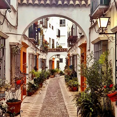 Galope Premium Daire Cordoba