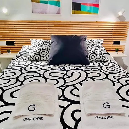 Daire Galope Premium