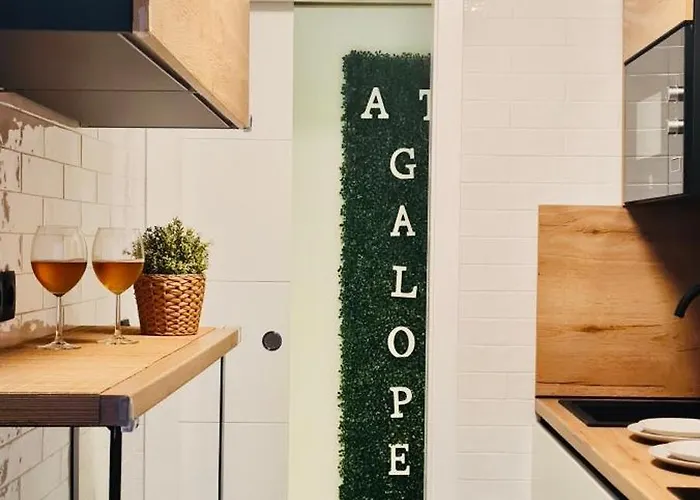 Galope Premium 코르도바