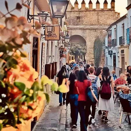 Apartment Galope Premium